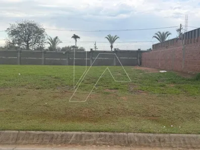 Lote/Terreno à venda, 360m² no Loteamento Alphaville Campinas, Campinas