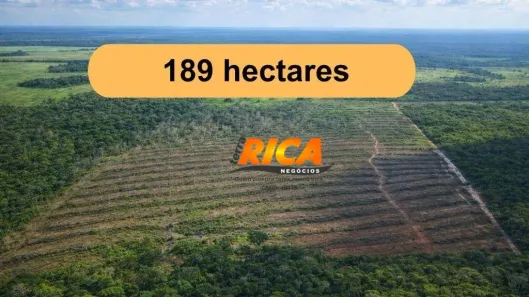 Fazenda/Sítio à venda, 1890000m² no Área Rural, Canutama