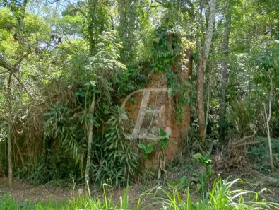 Lote/Terreno à venda, 2400m² no Caraguatá, Mairiporã