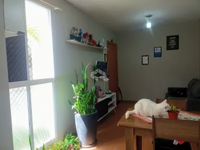 Apartamento com 2 Quartos à venda, 45m² no Estância Velha, Canoas