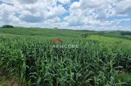 Fazenda/Sítio com 2 Quartos à venda, 300m² no , Bofete