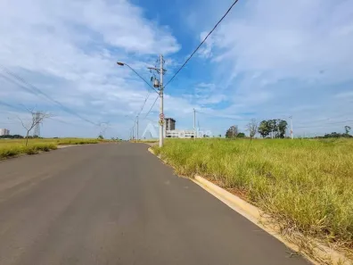 Lote/Terreno à venda, 250m² no Jardim Alphacenter, Santa Bárbara D'Oeste