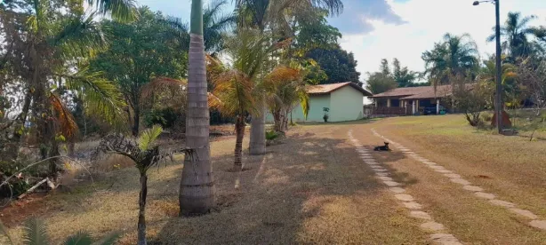 Fazenda/Sítio com 4 Quartos à venda, 25000m² no Parque das Árvores, Boituva