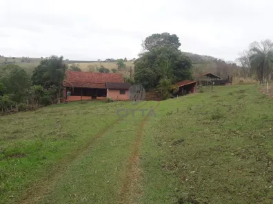 Fazenda/Sítio com 4 Quartos à venda, 170m² no , São Tomás de Aquino