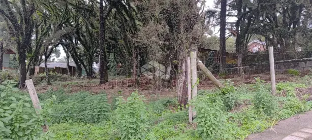 Lote/Terreno à venda, 1084m² no Vila Maggi, Canela