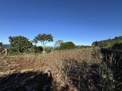 Galpão/Depósito/Armazém à venda, 5000m² no Planalto, Morro Reuter