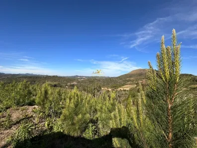Fazenda/Sítio com 1 Quarto à venda, 720000m² no , Campo Magro
