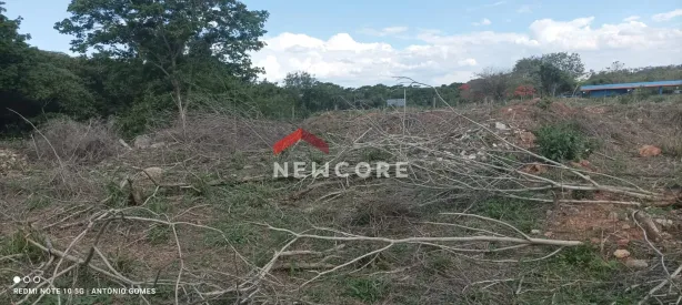 Lote/Terreno à venda, 7000m² no Centro, Vespasiano