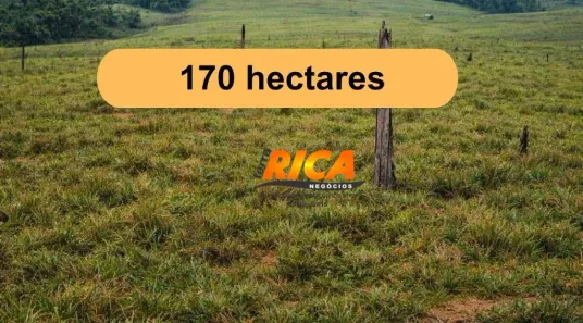 Fazenda/Sítio à venda, 1700000m² no Apuí, Apuí