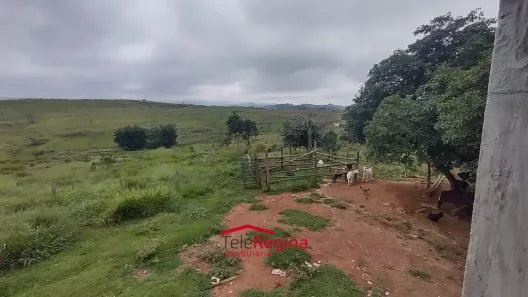 Fazenda/Sítio com 3 Quartos à venda, 20000m² no Boa Vista, Caçapava