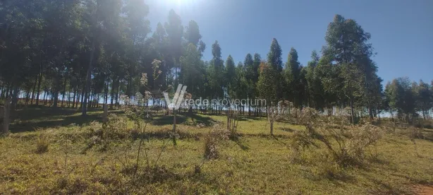 Lote/Terreno à venda, 10354m² no Jardim Harmonia, Paulínia