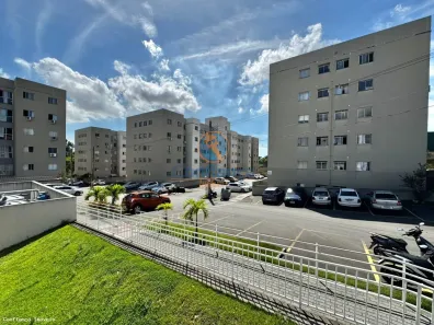 Apartamento com 3 Quartos à venda, 50m² no Jardim Limoeiro, Serra