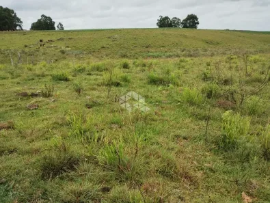Fazenda/Sítio à venda, 37011m² no Lajeado Grande, São Francisco de Paula