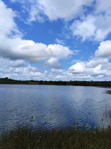 Fazenda/Sítio com 8 Quartos à venda, 3850000m² no , Canguaretama