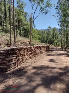 Lote/Terreno à venda, 21000m² no Arroio Paixão, Nova Petrópolis