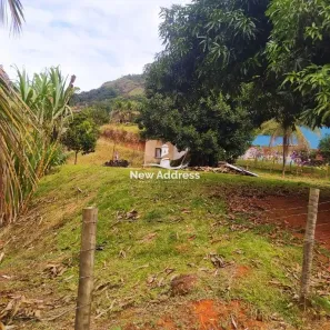 Fazenda/Sítio com 4 Quartos à venda, 2000m² no Centro, Viana