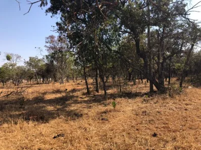 Fazenda/Sítio com 1 Quarto à venda, 21000m² no Jockey Park, Uberaba
