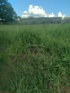 à venda, 600m² no , Fronteira