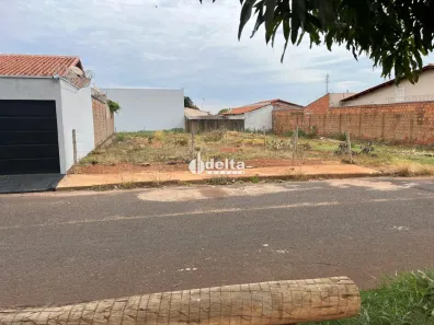 Lote/Terreno à venda, 300m² no Segismundo Pereira, Uberlândia