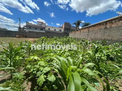 Lote/Terreno à venda, 258m² no Vila Cristina, Betim