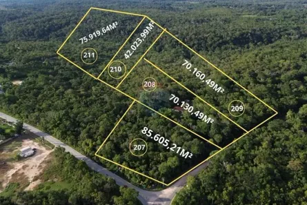 Lote/Terreno à venda, 343840m² no Monte das Oliveiras, Manaus