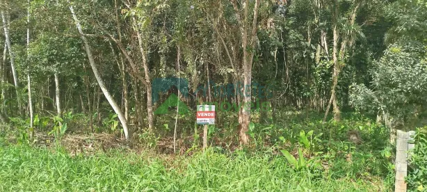Lote/Terreno à venda, 1311m² no Morretes, Morretes