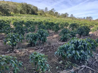 Fazenda/Sítio com 2 Quartos à venda, 121000m² no , Monte Santo de Minas