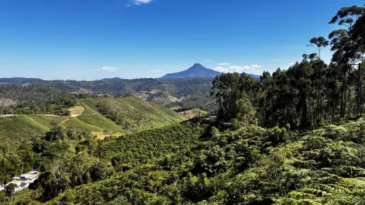 Lote/Terreno à venda, 3193m² no , Vargem Alta