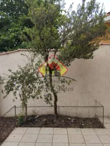 Sobrado com 4 Quartos à venda, 302m² no Centro, Taubaté