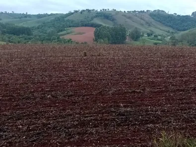 Fazenda/Sítio com 2 Quartos à venda, 1548800m² no , Jacuí