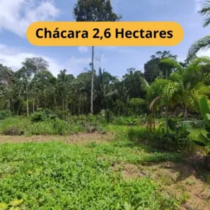 Fazenda/Sítio com 3 Quartos à venda, 26000m² no Área Rural de Porto Velho, Porto Velho