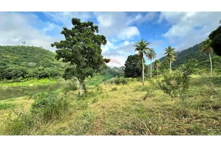 Fazenda/Sítio com 3 Quartos à venda, 30m² no Florestal, Jequié