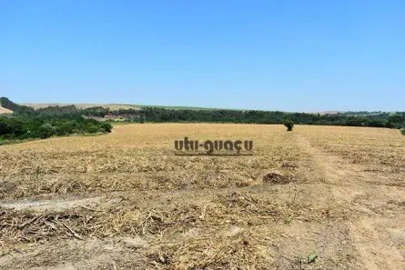 Fazenda/Sítio à venda, 1597200m² no , Porto Feliz
