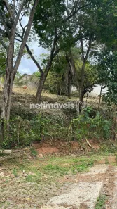 Lote/Terreno à venda, 1446m² no Ouro Velho Mansões, Nova Lima