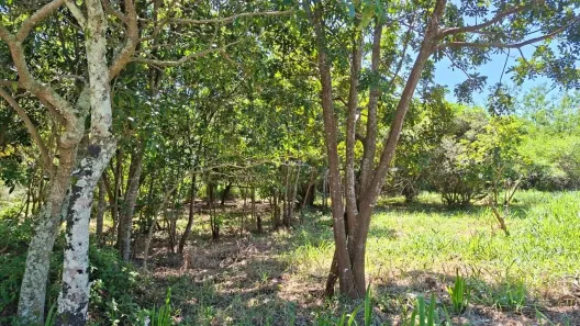 Lote/Terreno à venda, 399m² no Pântano do Sul, Florianópolis