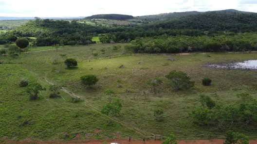 Lote/Terreno com 1 Quarto à venda, 20000m² no , Cordisburgo
