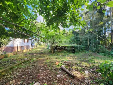 Lote/Terreno à venda, 620m² no Nova Petrópolis, Nova Petrópolis