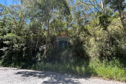 Lote/Terreno à venda, 875m² no Parque São Clemente, Nova Friburgo