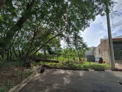 Lote/Terreno à venda, 435m² no Jardim das Torres, São Carlos