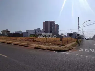 Lote/Terreno para alugar, 900m² no Novo Mundo, Uberlândia