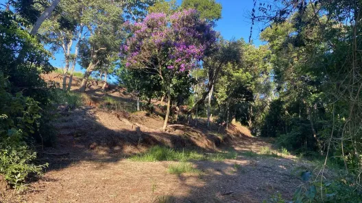 Lote/Terreno à venda, 3300m² no Bairro do Cambará, São Roque