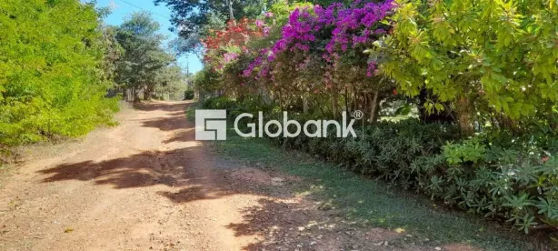 Fazenda/Sítio com 5 Quartos à venda, 200m² no Major Prates, Montes Claros