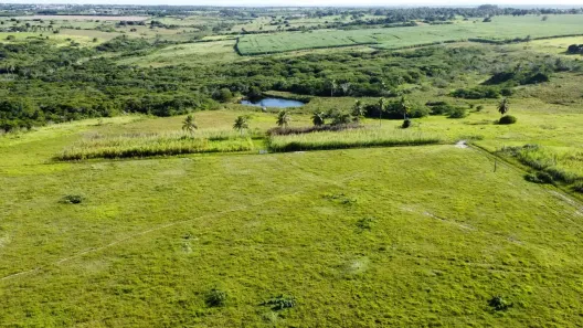 Fazenda/Sítio com 3 Quartos à venda, 805000m² no , Monte Alegre