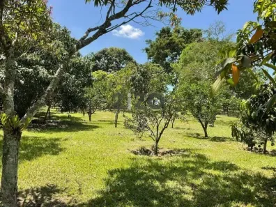 Fazenda/Sítio com 3 Quartos à venda, 182m² no Pedregulho, Guaratinguetá