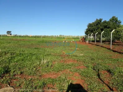 Fazenda/Sítio com 1 Quarto à venda, 5000m² no , Ibiporã
