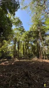 Lote/Terreno à venda, 175m² no Itamambuca, Ubatuba