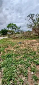 Lote/Terreno à venda, 300m² no Teixeirinha, Betim