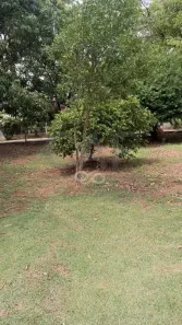 Lote/Terreno à venda, 1001m² no Área Rural de Santo Antônio de Posse, Santo Antônio de Posse