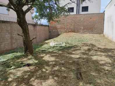 Lote/Terreno à venda, 250m² no Bosque dos Buritis, Uberlândia
