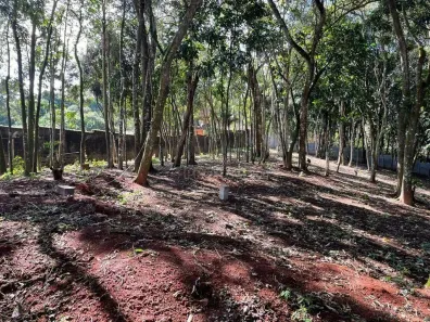 Lote/Terreno à venda, 2500m² no Paisagem Renoir, Cotia
